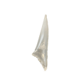 Duotone Bladder Strut Ventis D/LAB right