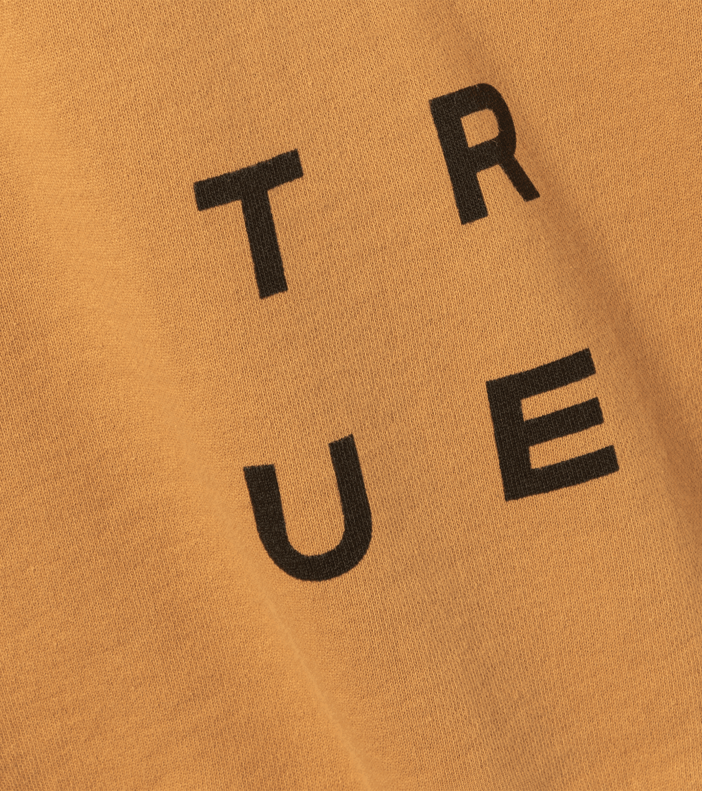 Duotone Hoody True Fade Out men 2025 product image 6