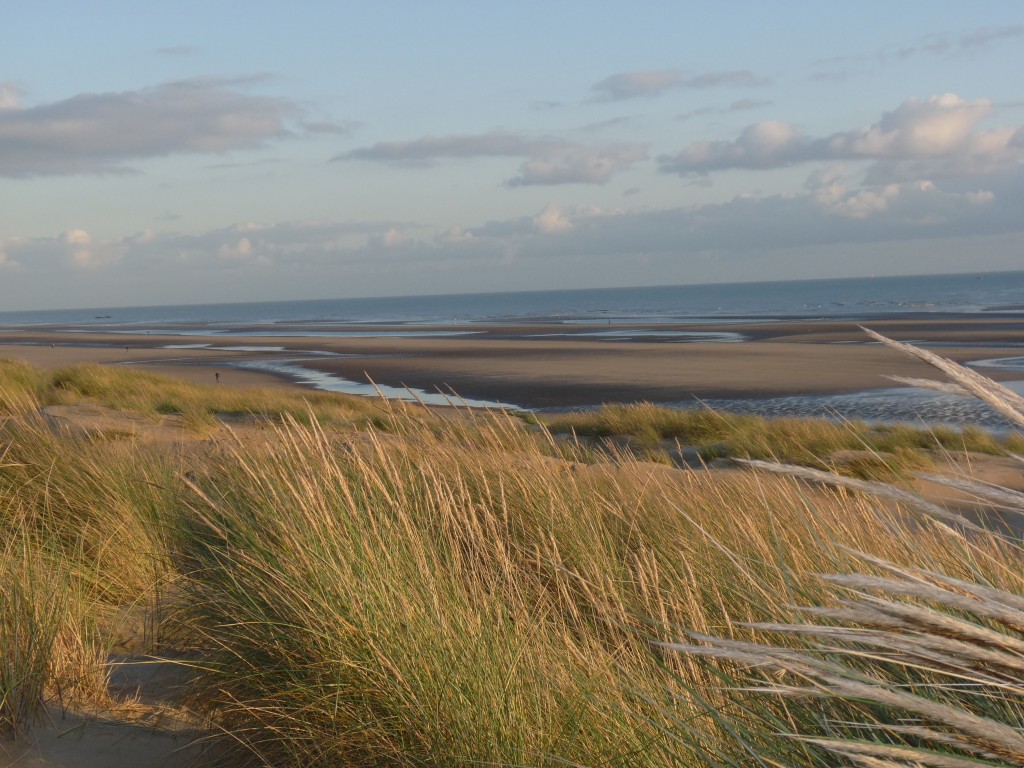 Camber sands kitesurfing beach, east sussex