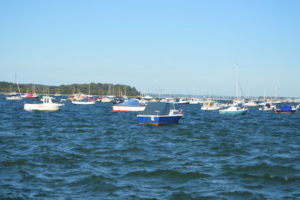 PooleHarbourBoats