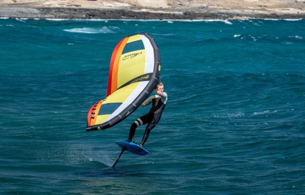 Shinn Resurector V2 Wing 2022 - Image 2